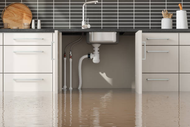 Best Ceiling water damage repair  in Fearrington Village, NC