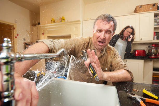 Best Mold removal after water damage  in Fearrington Village, NC